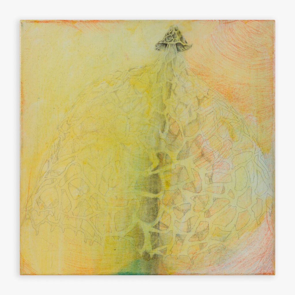 Zuzanna Szary Panna młoda 40 x 40 cm | oil on canvas 2023