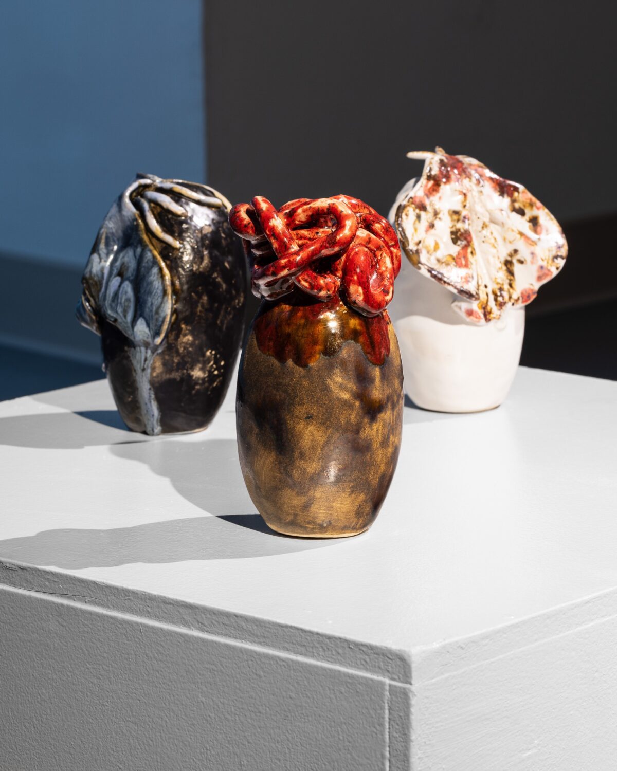 2024-11-30 - BLUE MOTH - wystawa + portrety - social media-16