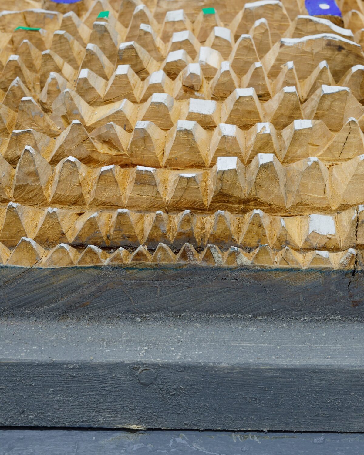 Flower bedrodukcji Maciej Pęcak