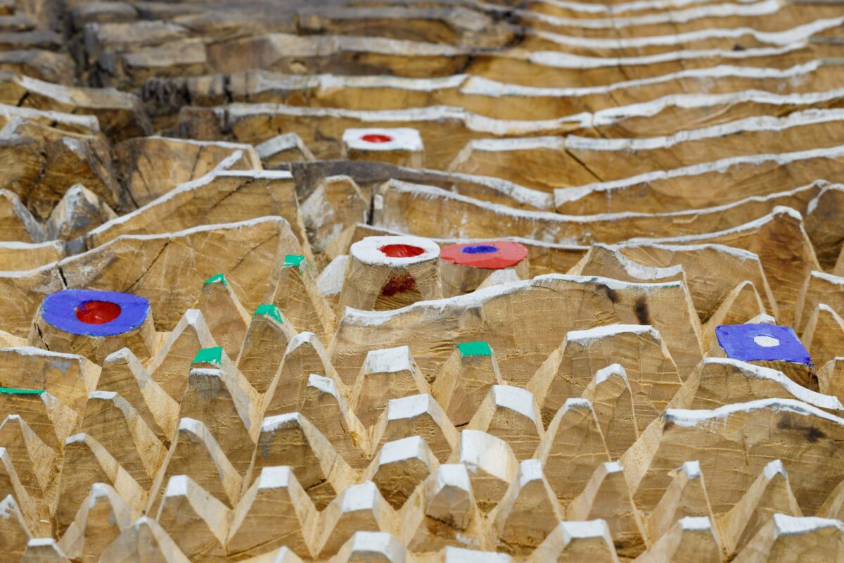 Flower bedrodukcji Maciej Pęcak