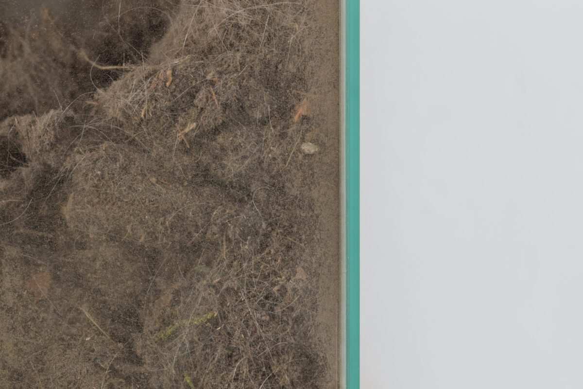 Anna Sztwiertnia | No title | 2022 | Ufo Art Gallery