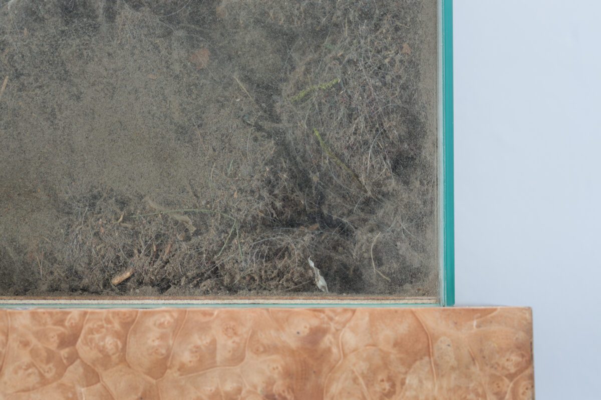 Anna Sztwiertnia | No title | 2022 | Ufo Art Gallery