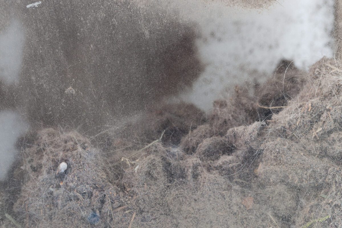 Anna Sztwiertnia | No title | 2022 | Ufo Art Gallery