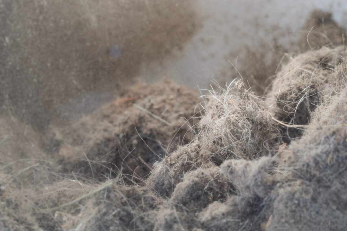 Anna Sztwiertnia | No title | 2022 | Ufo Art Gallery