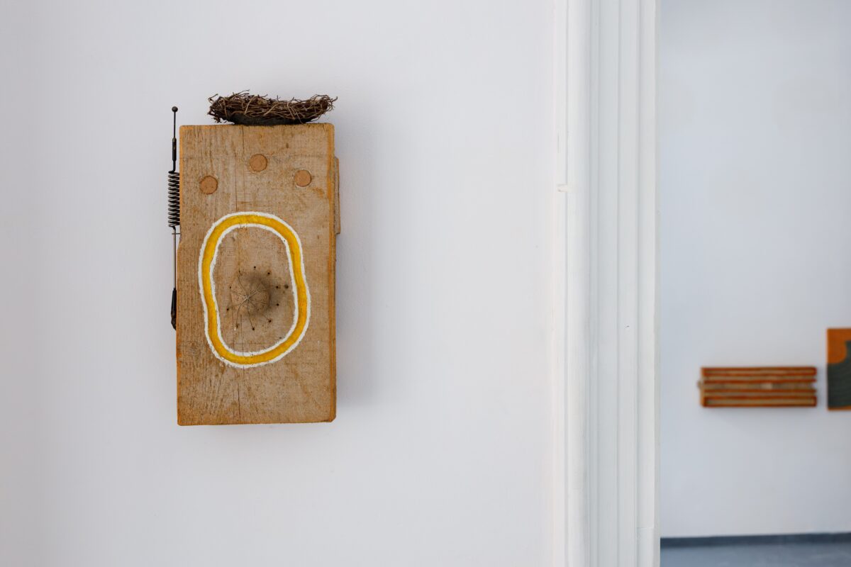 Peregrynacje Maciej Pęcak UFO