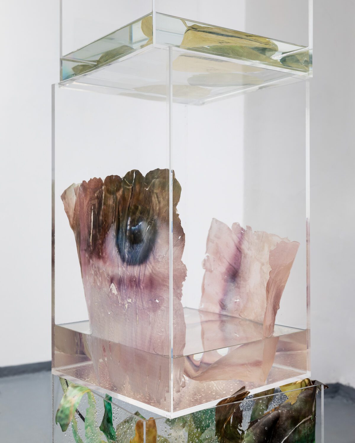 QUENCH THIRST WITH DEW - Zmniejszone Social Media sRGB 150 DI-47