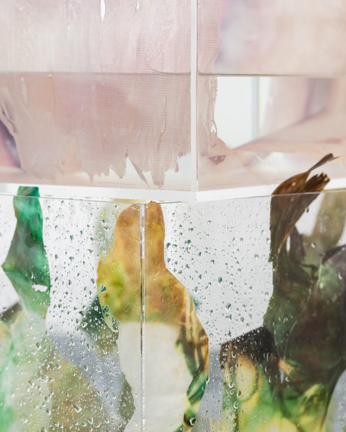 QUENCH THIRST WITH DEW - Zmniejszone Social Media sRGB 150 DI-51