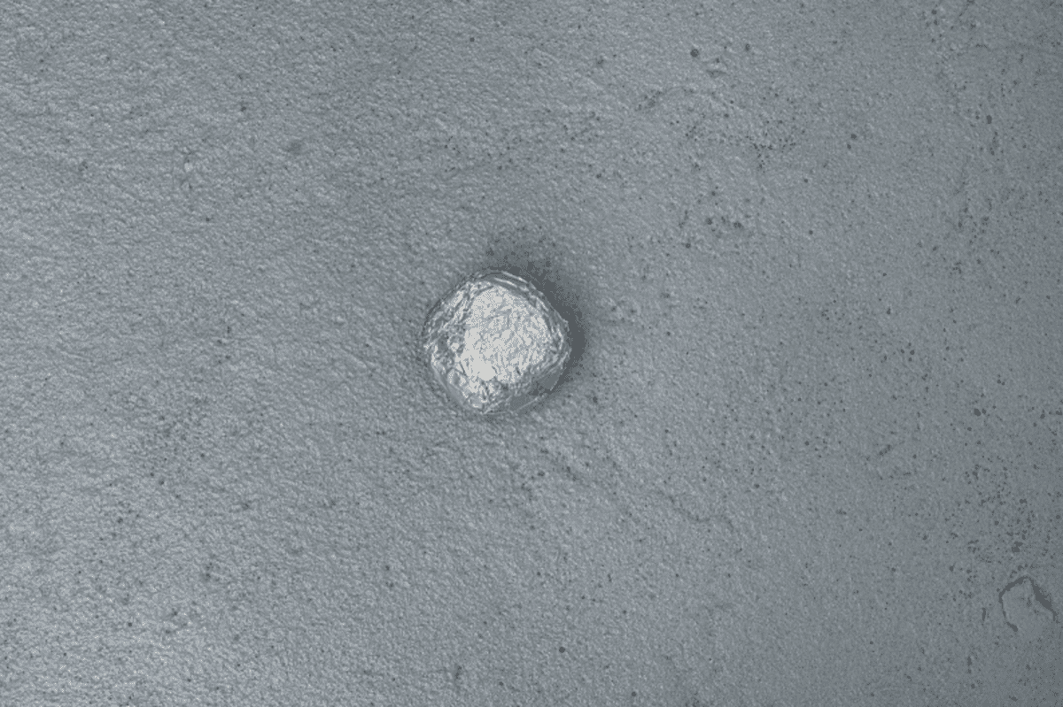 Tomek Baran Untilted