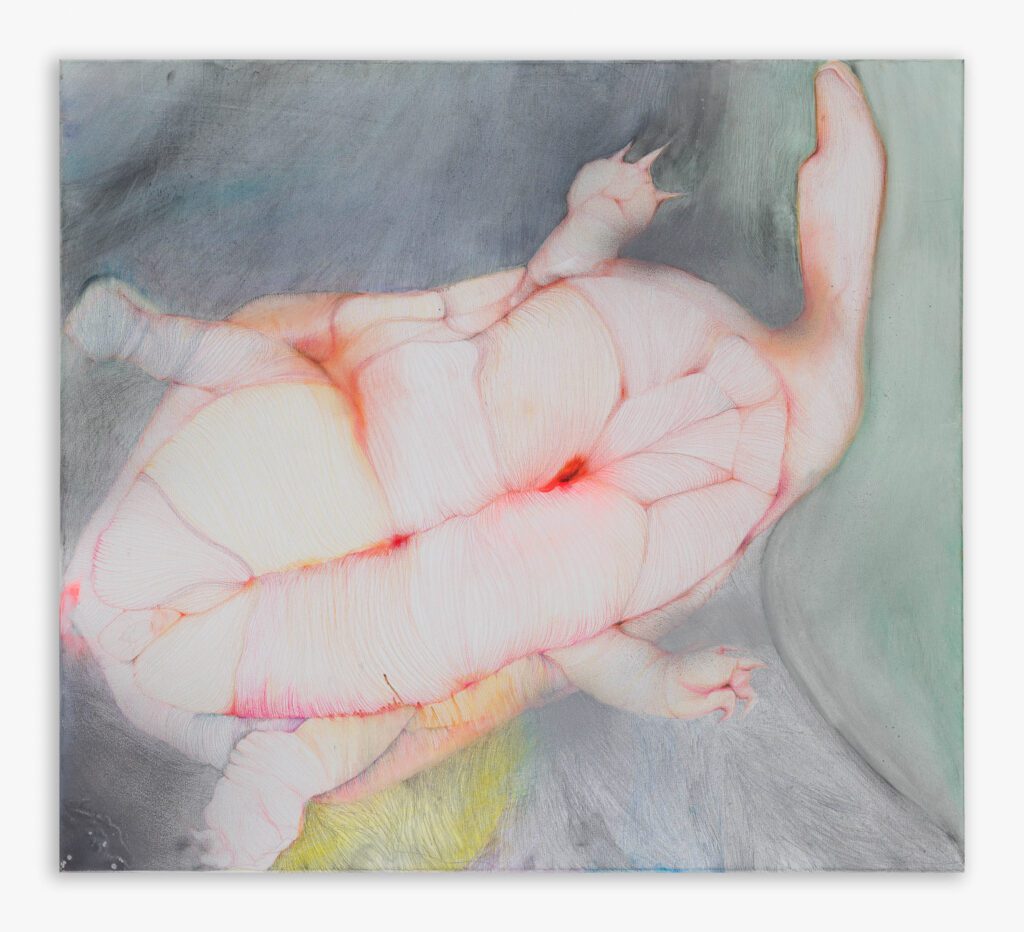 Faworyt 90 x 100 cm | oil on canvas 2023 Zuzanna Szary