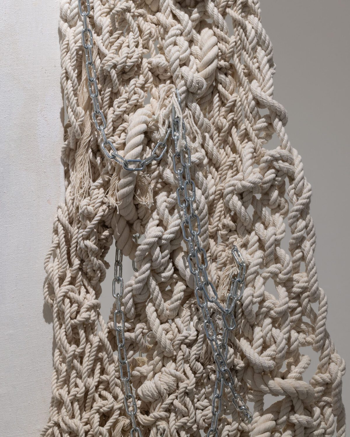 2024-11-30 - BLUE MOTH - wystawa + portrety - social media-11