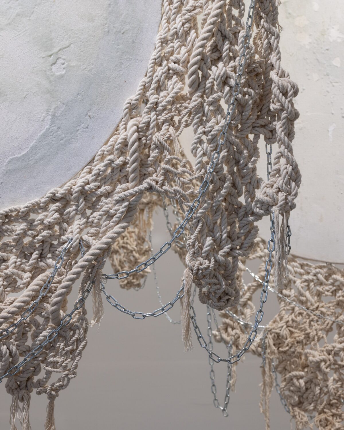 2024-11-30 - BLUE MOTH - wystawa + portrety - social media-14