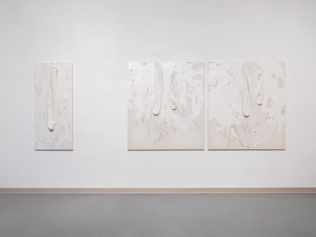 2024-11-30 - BLUE MOTH - wystawa + portrety - social media-25