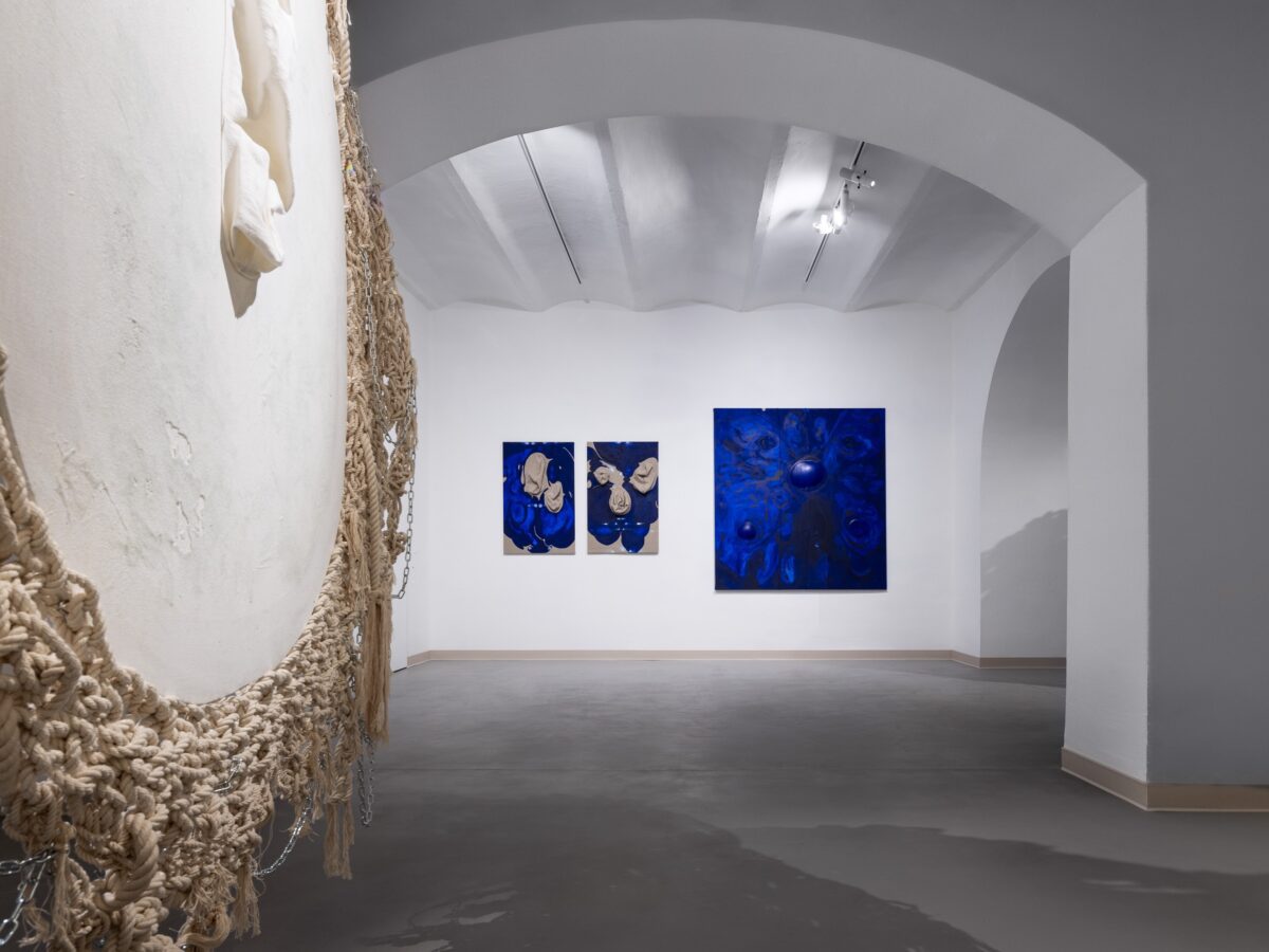 2024-11-30 - BLUE MOTH - wystawa + portrety - social media-33