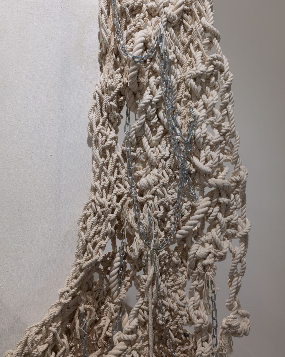 2024-11-30 - BLUE MOTH - wystawa + portrety - social media-8