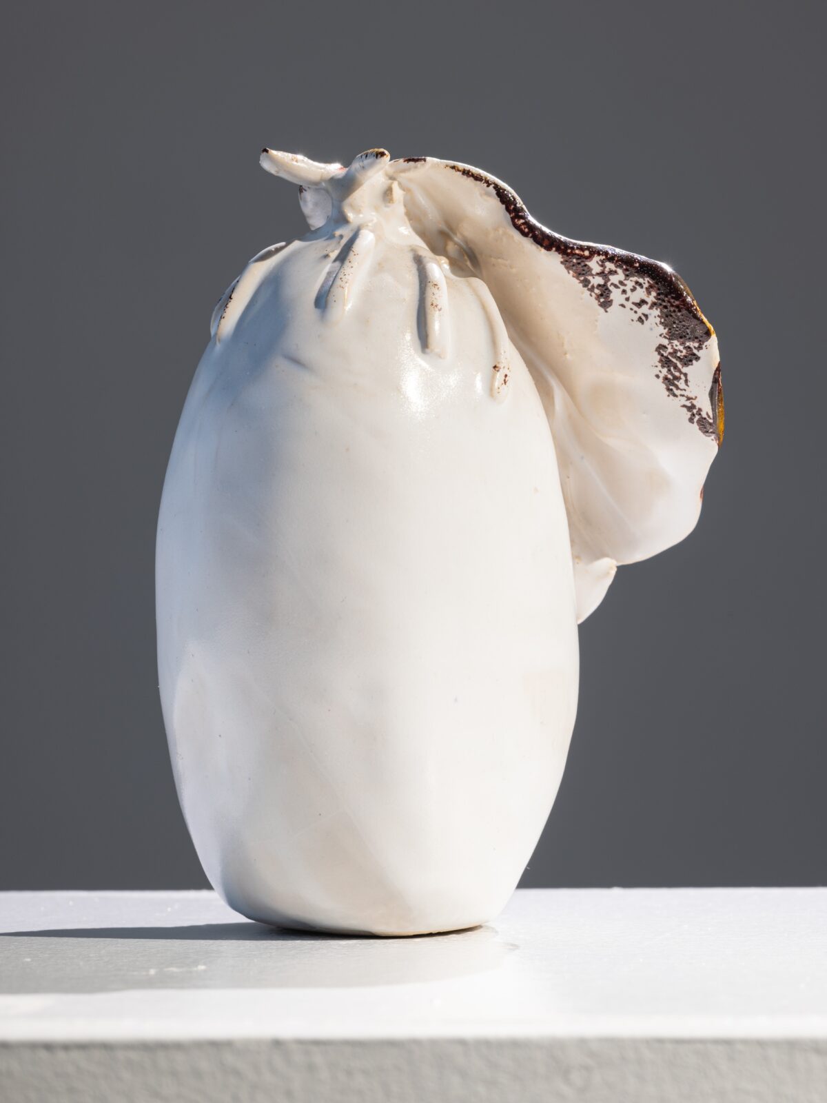 2024-11-30 - Józefina Alanko - BLUE MOTH - reprodukcje - pełny rozmiar-15