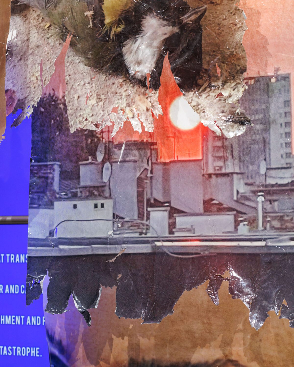 Szostek - THE SECRET LAPSE - social media-26