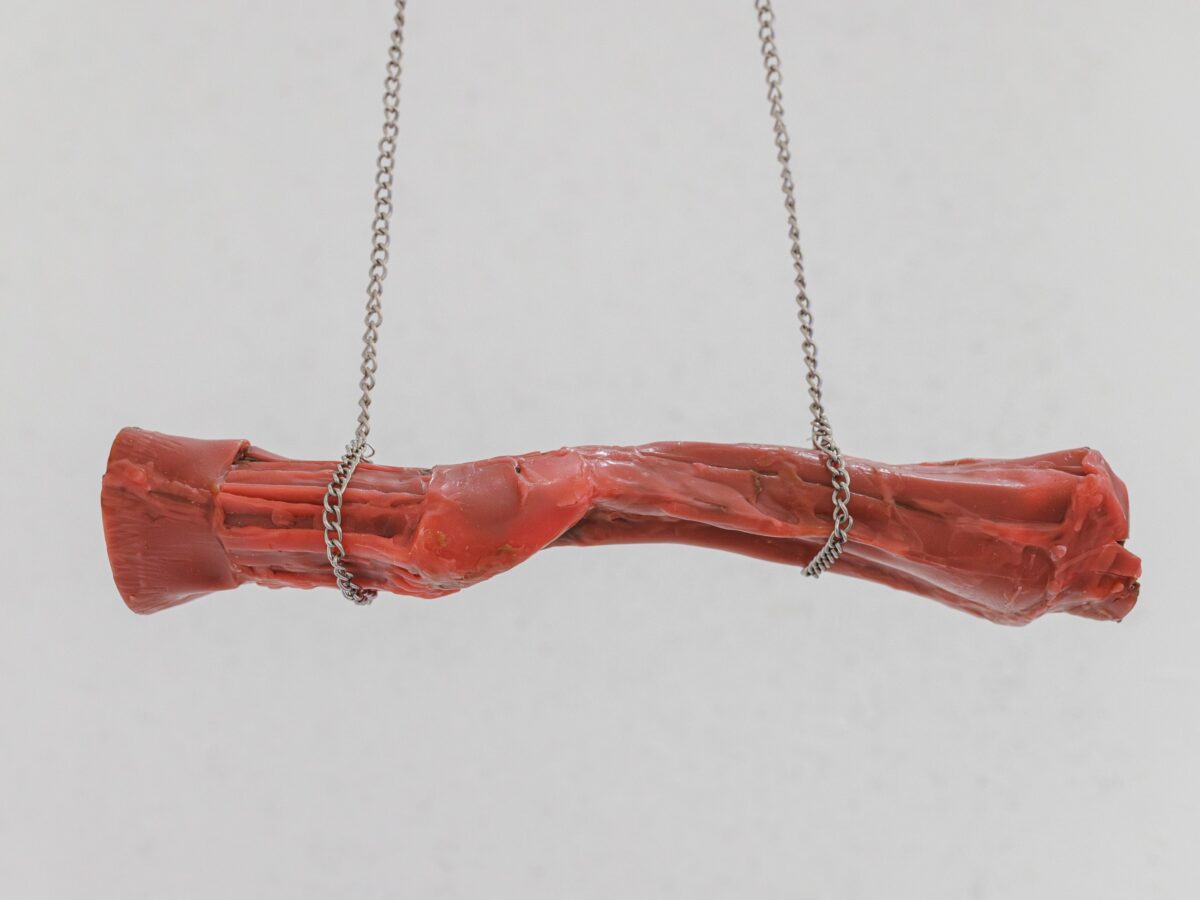 Szostek - THE SECRET LAPSE - social media-29