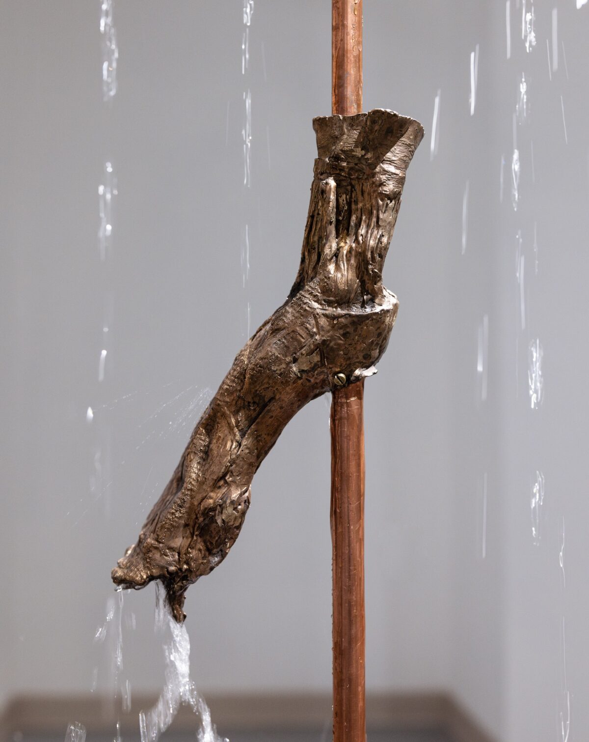 Szostek - THE SECRET LAPSE - social media-31