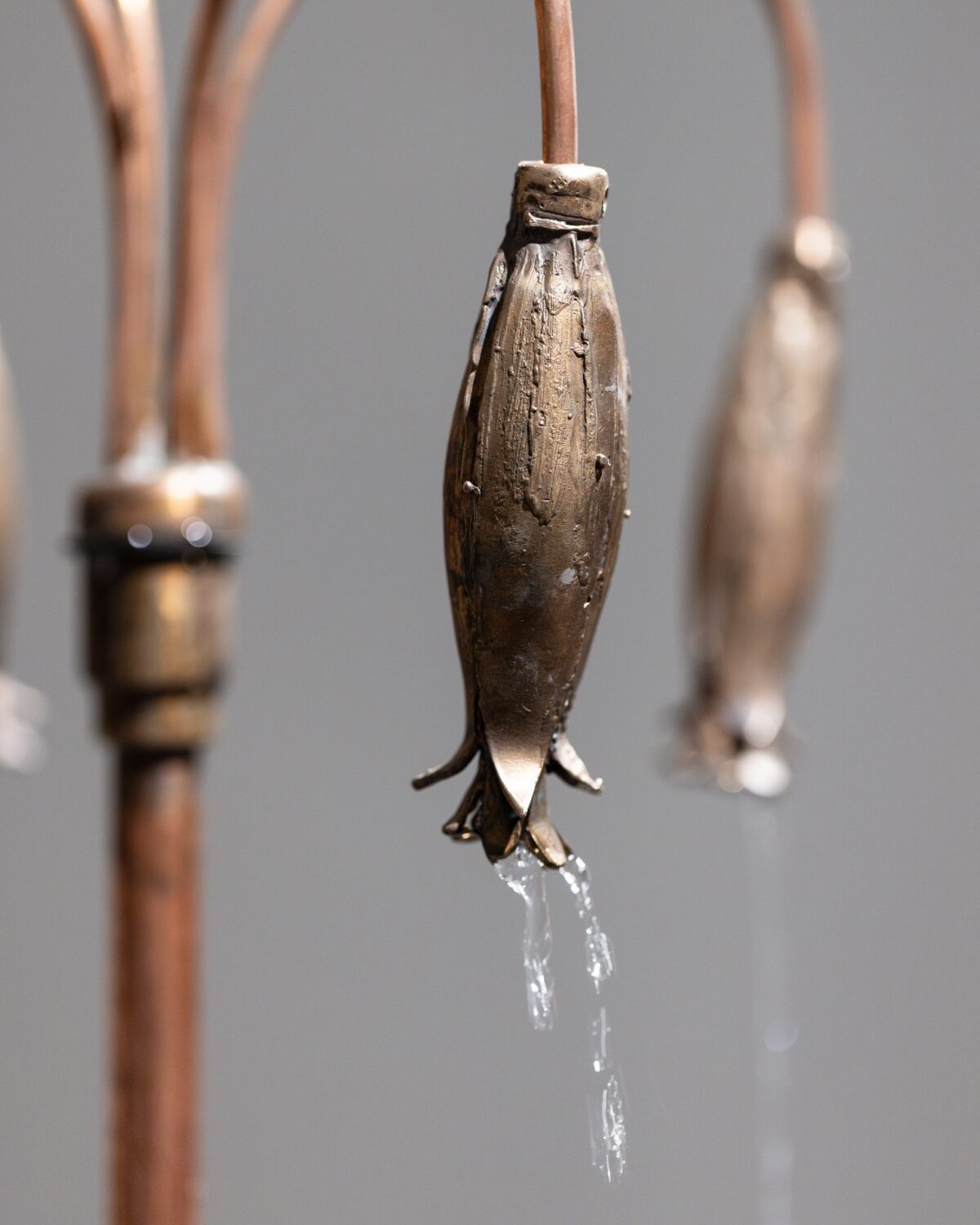 Szostek - THE SECRET LAPSE - social media-34