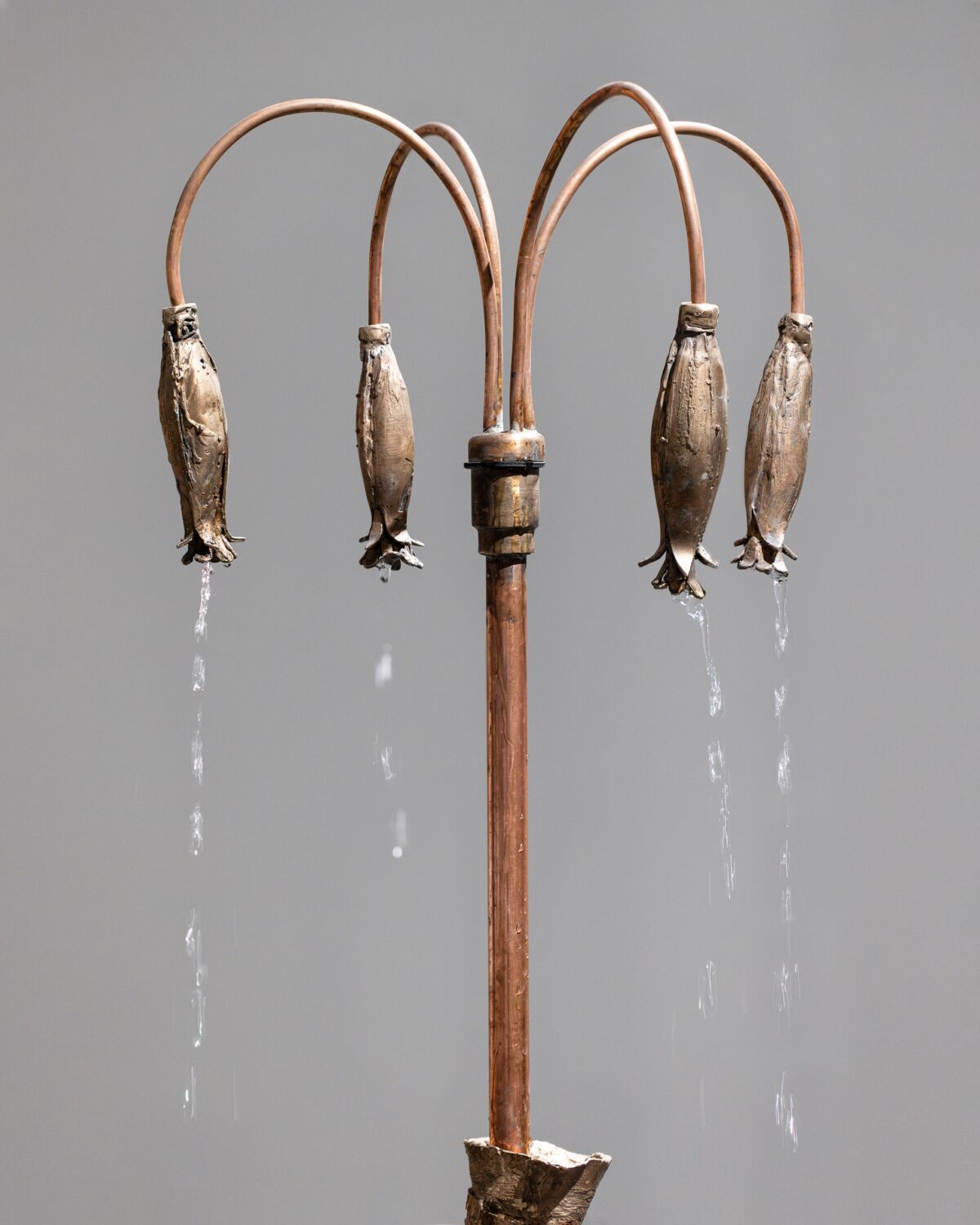 Szostek - THE SECRET LAPSE - social media-35