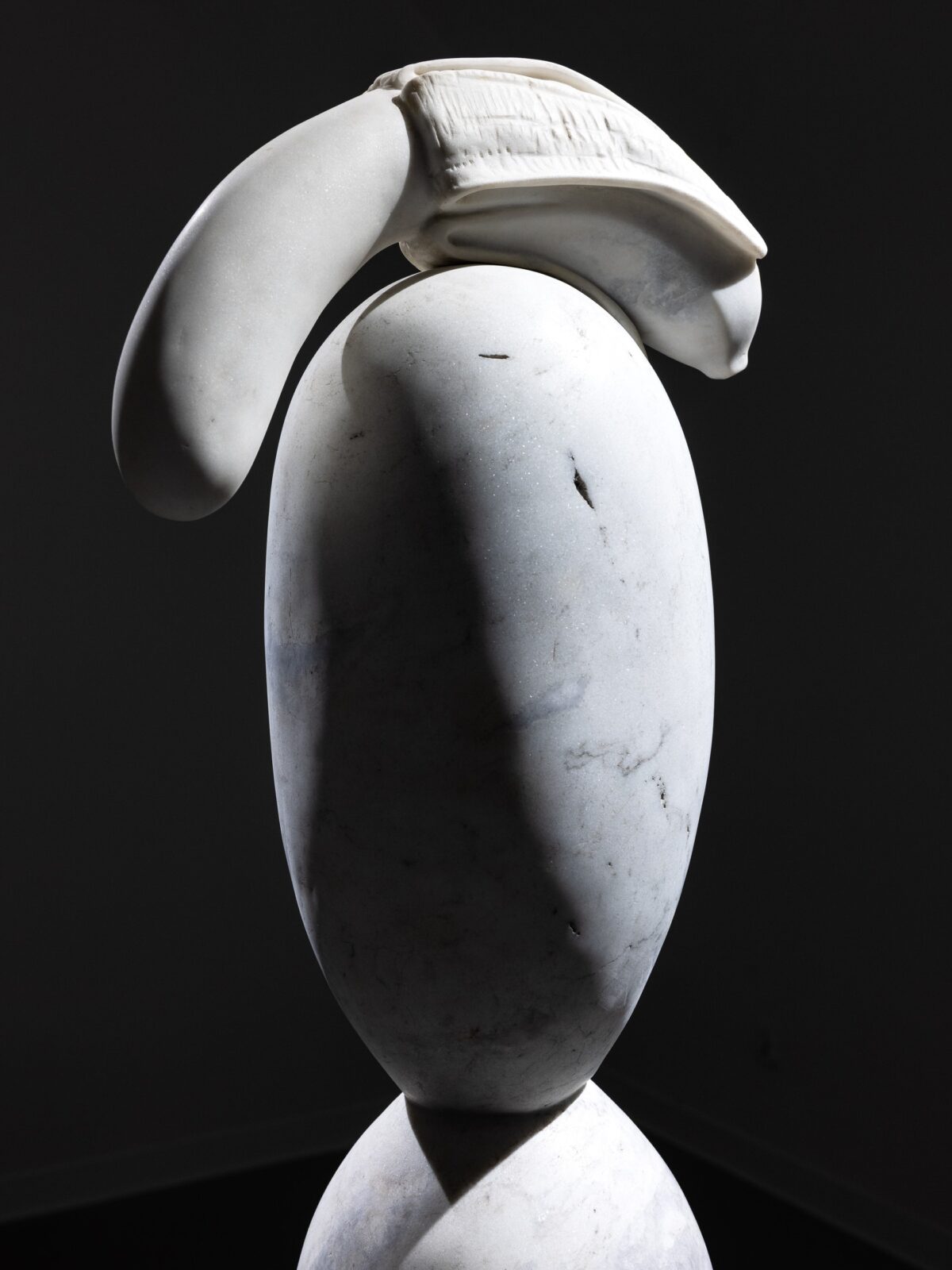 2026-02-20_The-Curiosity_Okoński_social-media-37