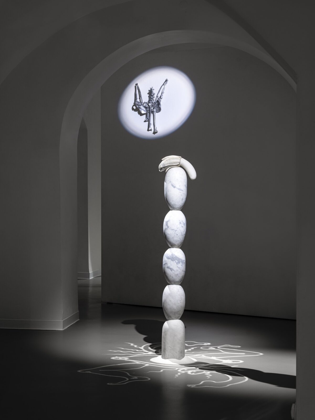 2026-02-20_The-Curiosity_Okoński_social-media-38