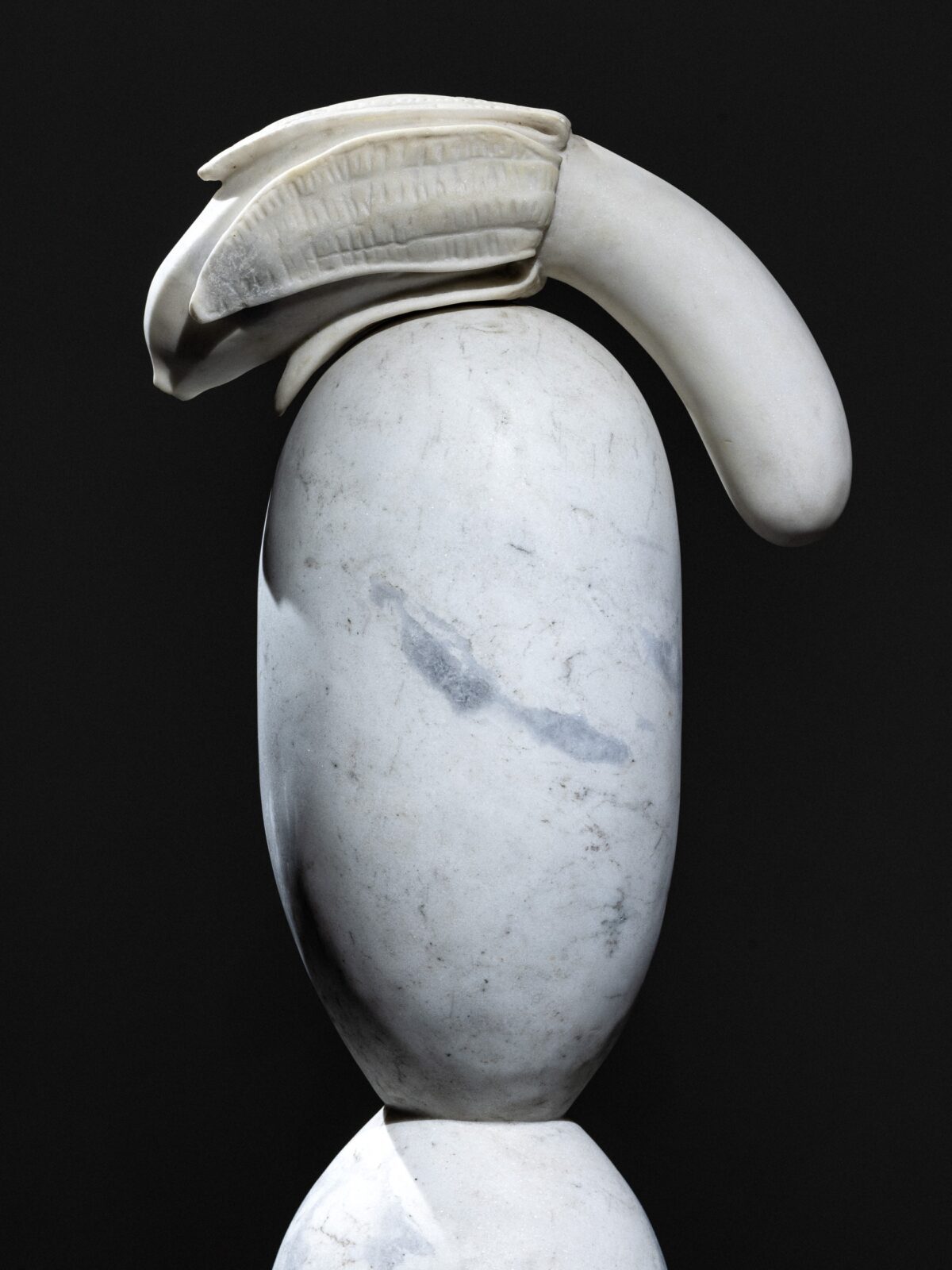 2026-02-20_The-Curiosity_Okoński_social-media-54