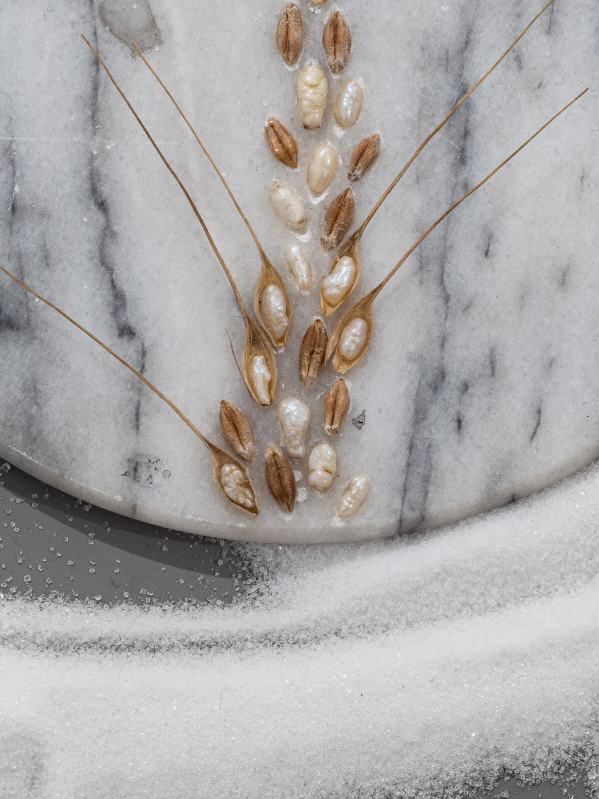 2026-02-20_The-Curiosity_Okoński_social-media-58