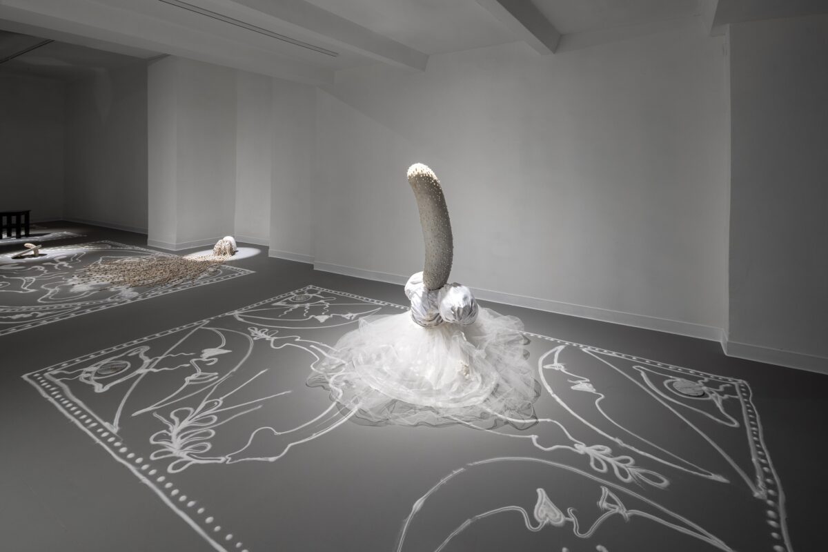 2026-02-20_The-Curiosity_Okoński_social-media-9